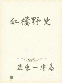 红楼野史封面