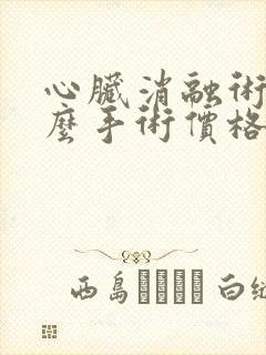 心脏消融术是什么手术价格