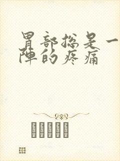 胃部总是一阵一阵的疼痛封面