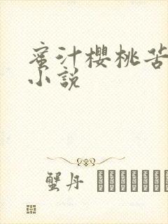 蜜汁樱桃苦咖啡小说