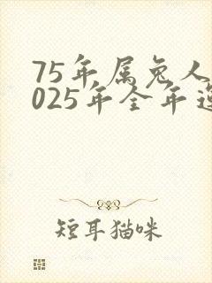 75年属兔人2025年全年运势财运如何