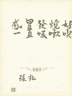 感冒发烧好了后一直咳嗽吃什么药封面