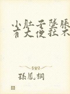 小肚子坠胀感觉有大便拉不出来