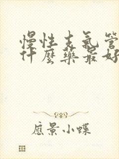 慢性支气管炎用什么药最好呢