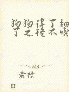 狗狗得了细小好了之后不吃东西怎么办