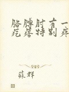 胳膊肘有一个小疙瘩特别疼