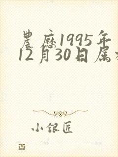 农历1995年12月30日属相八字