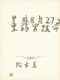 农历8月27出生的男孩命运封面