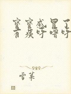 宝宝感冒了嗓子有痰呼噜呼噜的怎么办