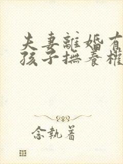 夫妻离婚有两个孩子抚养权怎么判定