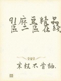 91麻豆精品一区二区在线观看