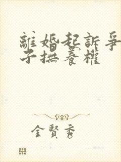 离婚起诉争夺孩子抚养权