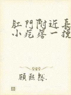 肛门附近长了个小疙瘩一摸就疼