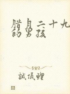 腊月二十九出生的男孩封面