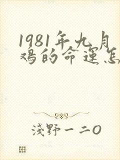 1981年九月鸡的命运怎么样封面