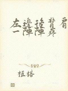 左边后背肩胛骨一阵阵疼封面