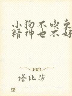 小狗不吃东西,精神也不好,怎么办