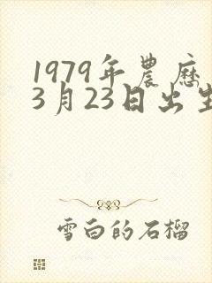 1979年农历3月23日出生的人命运
