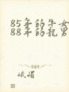 85年的牛女给88年的龙男婚配好不好