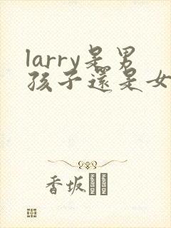 larry是男孩子还是女孩子封面