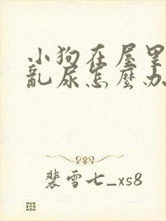 小狗在屋里乱拉乱尿怎么办