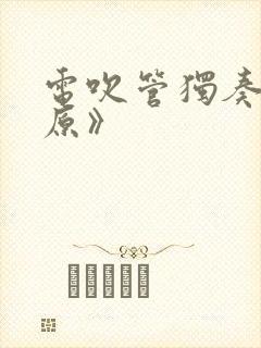 电吹管独奏《草原》