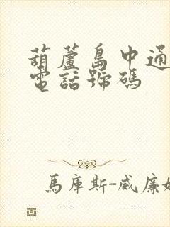 葫芦岛中通快递电话号码