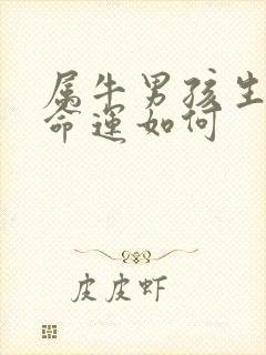 属牛男孩生丑时命运如何