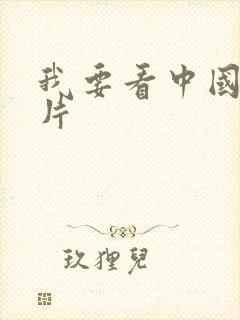 我要看中国黄色片封面