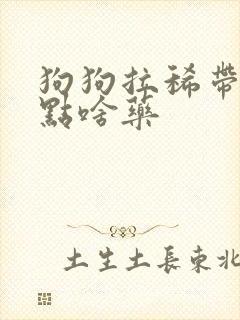 狗狗拉稀带血吃点啥药