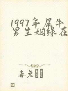 1997年属牛男生姻缘在哪年封面