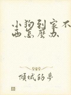 小狗到家不吃东西怎么办