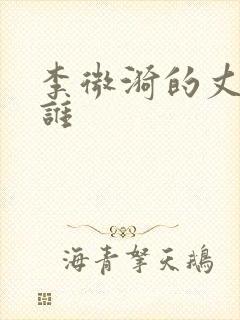 李微漪的丈夫是谁封面