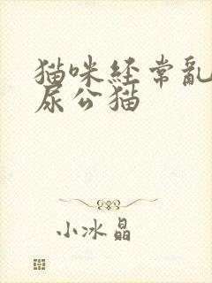 猫咪经常乱拉乱尿公猫