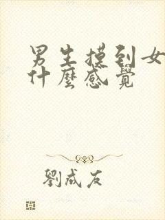 男生摸到女生胸什么感觉