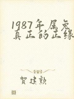 1987年属兔真正的正缘在哪一年