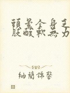 头晕全身乏力四肢酸软无力