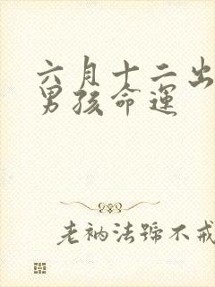 六月十二出生的男孩命运