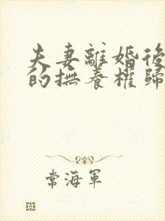 夫妻离婚后儿子的抚养权归谁