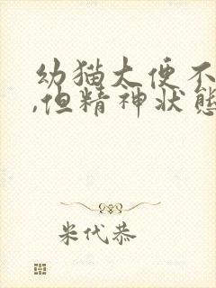 幼猫大便不成形,但精神状态很好