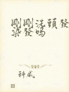 刚刚洗头发可以染发吗