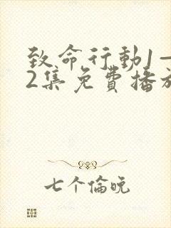 致命行动1—42集免费播放