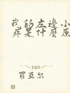 我的左边小肚子疼是什么原因,我是女性封面