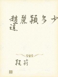 赵丽颖多少岁出道