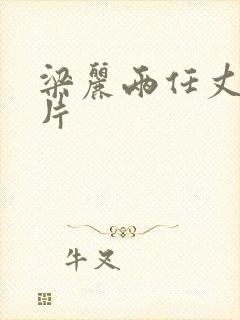 梁丽两任丈夫照片封面