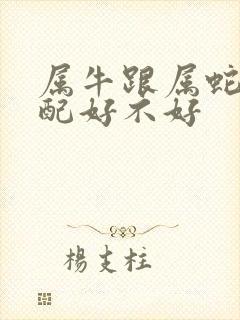 属牛跟属蛇的婚配好不好封面