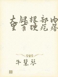 大腿根部内侧肉里有硬疙瘩