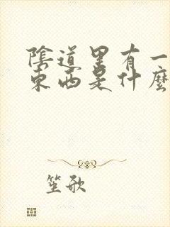 阴道里有一个小东西是什么原因