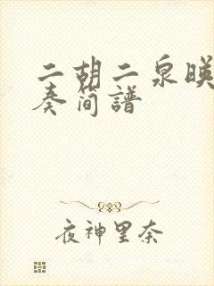 二胡二泉映月独奏简谱