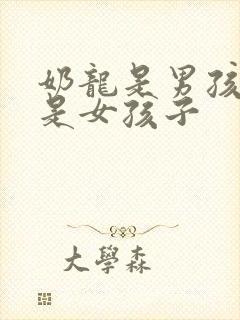 奶龙是男孩子还是女孩子